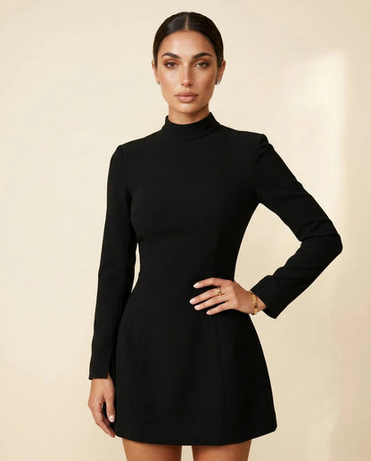 High Neck Long Sleeve Mini Dress