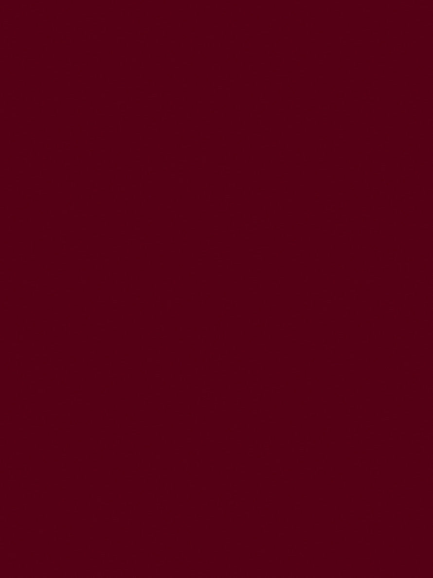 Velvet Long Sleeve Maxi Dress