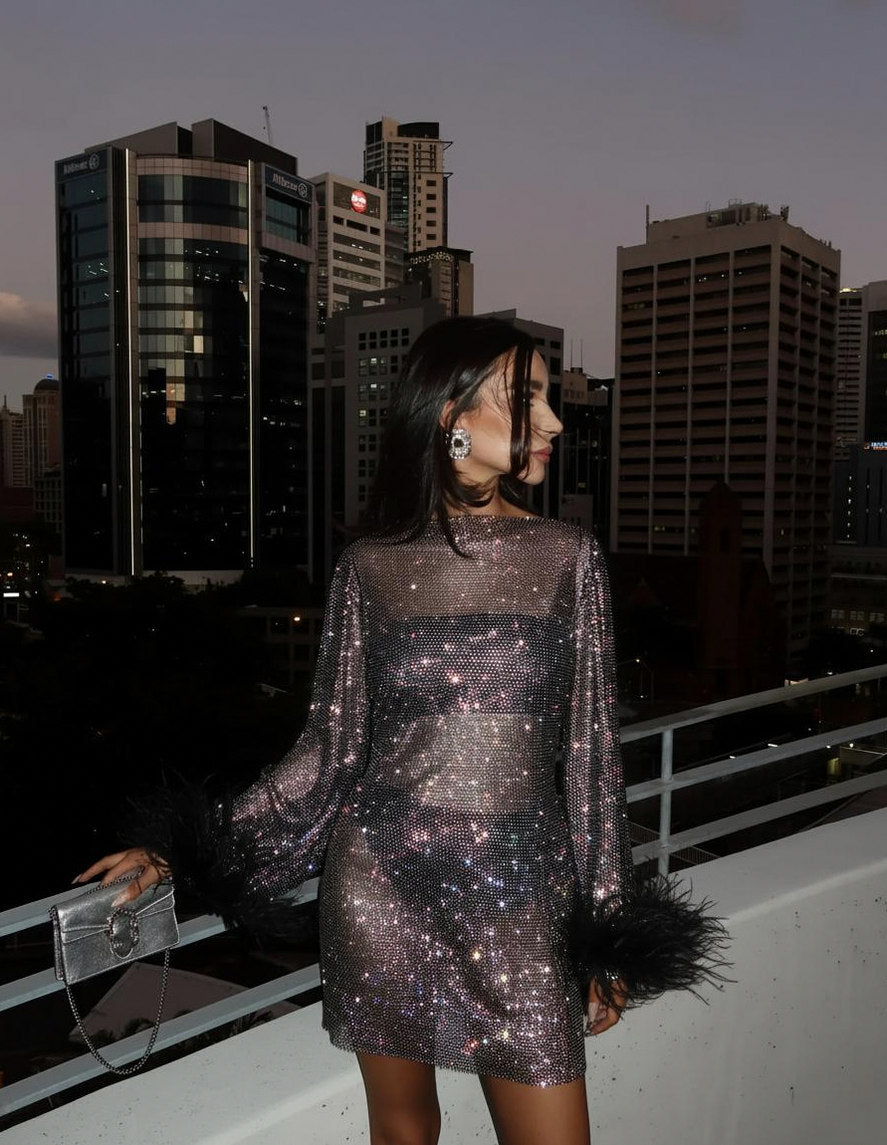 Mesh Long Sleeve Feather Mini Dress