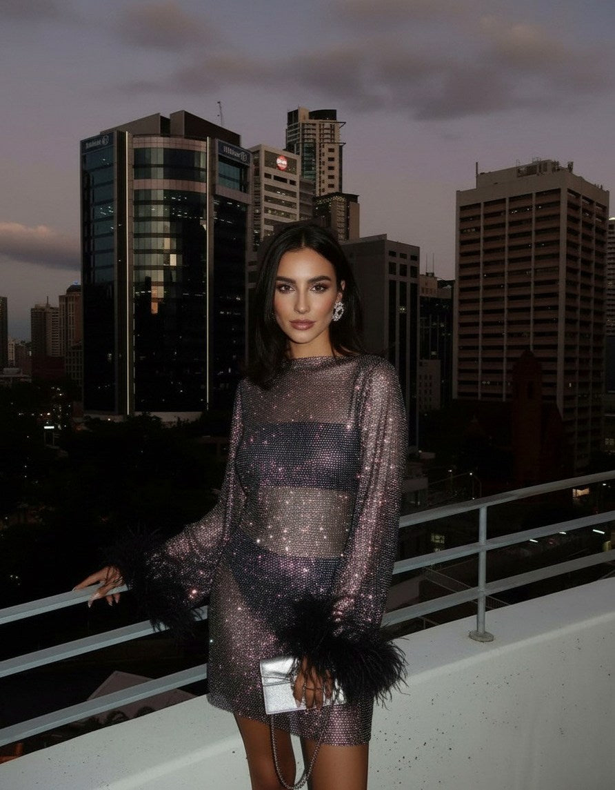 Mesh Long Sleeve Feather Mini Dress