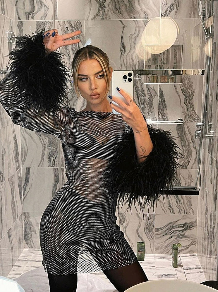 Mesh Long Sleeve Feather Mini Dress