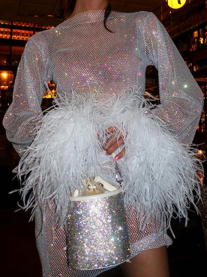 Mesh Long Sleeve Feather Mini Dress